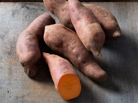 Sweet-potato-Erato-Vineland.jpg