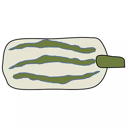 CUC_Delicata_419590_a.jpg