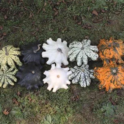 CUC Mix 420618 Orbis6.jpg