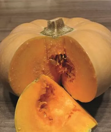 Cucurbita moschata