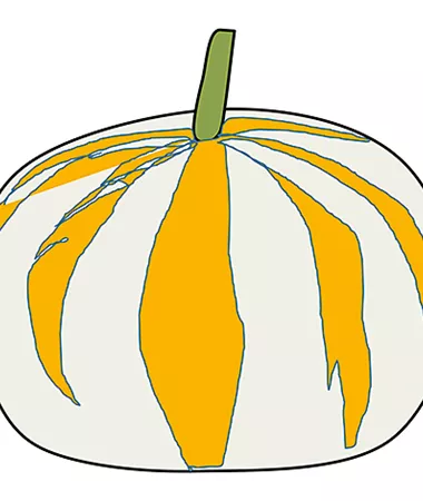 Cucurbita pepo