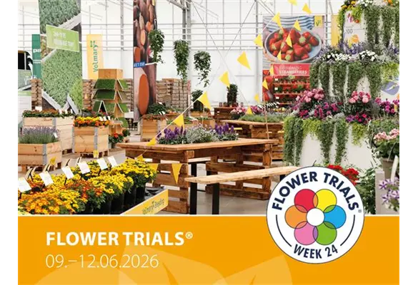Volmary at the Flowertrials<sup>®</sup> 2026