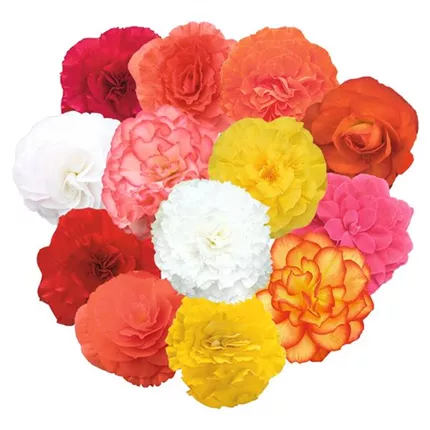 BEG_Nonstop® F1_Mix_408900_1_C7480201_KATALOG.jpg