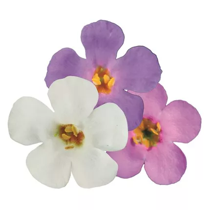 SPE Baristo® Giga Trio White-Blue-Rose 478630.jpg