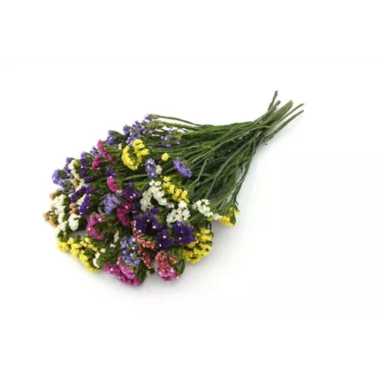 LIM_Fortress_Formula Mix_454650__pas_LIM20-27463_AL.jpg