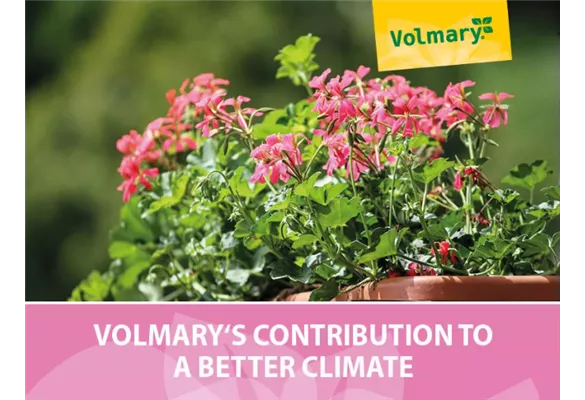 Volmary's contribution to a better climate