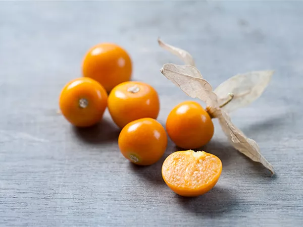 Physalis_Goldvital.jpg