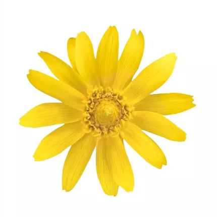 MEL_Golden Globe_457000_R9090054.jpg