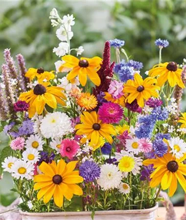Blumenmischungen / Flower Mix