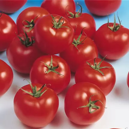 SOL_ Shirley_531150.jpg