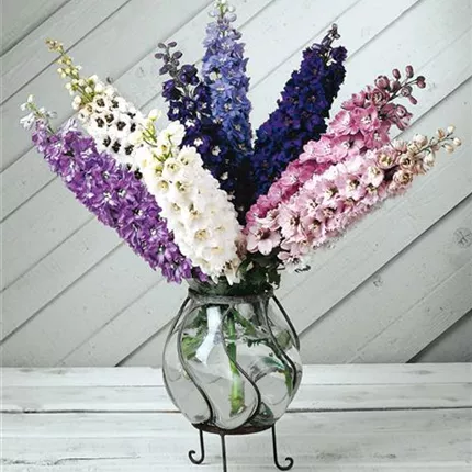 DEL_Magic Fountains_Mix_431230_K2560092_KATALOG.jpg